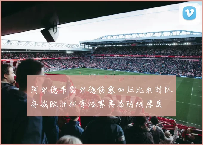 阿尔德韦雷尔德伤愈回归比利时队备战欧洲杯资格赛再添防线厚度
