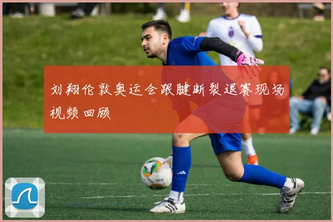 刘翔伦敦奥运会跟腱断裂退赛现场视频回顾