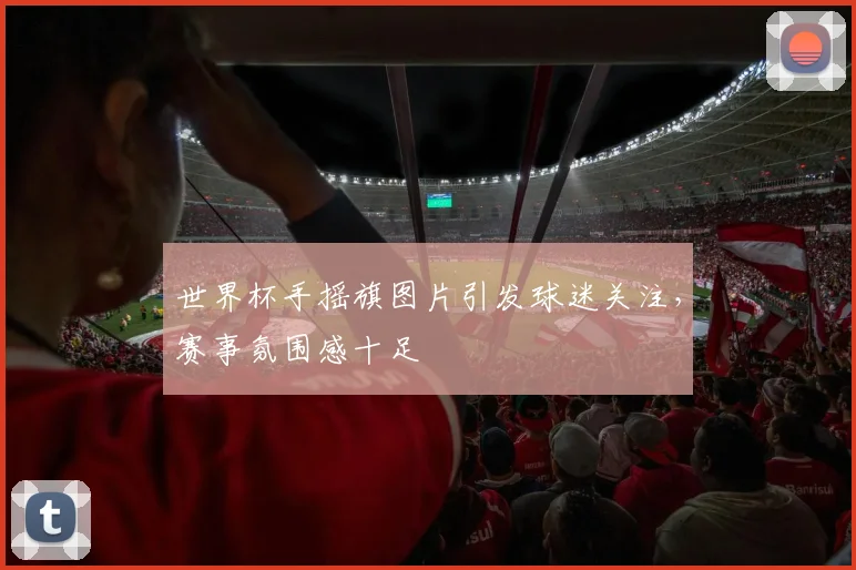 世界杯手摇旗图片引发球迷关注,赛事氛围感十足