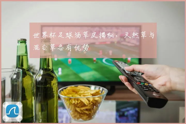 世界杯足球场草皮揭秘,天然草与混合草各有优势