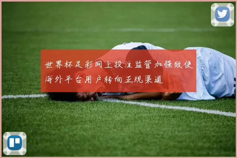 世界杯足彩网上投注监管加强致使海外平台用户转向正规渠道